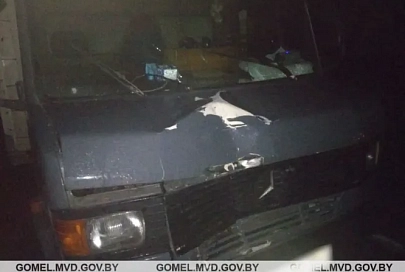 В Речицком районе в результате ДТП погиб пешеход