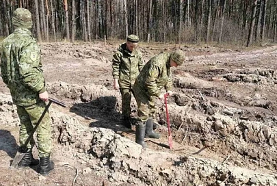 Более 11 тыс. молодых деревьев высадили гомельские пограничники на акции "Неделя леса"