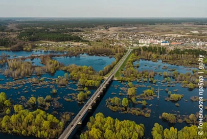 В Гомельской области на большинстве рек отмечается спад уровней воды суточной интенсивностью от 1 до 12 сантиметров