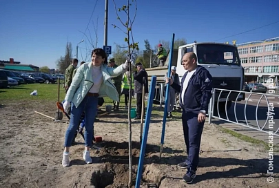 Весной на Гомельщине высадят 35 тысяч деревьев и кустарников, три тысячи – во время республиканского субботника