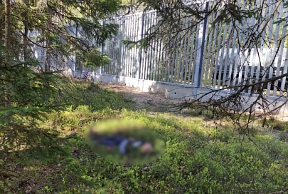 СК: еще один беженец из Сирии погиб у границы с Польшей