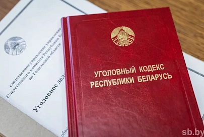 В Житковичах школьница и учащийся колледжа получили по 10 лет колонии за распространение наркотиков