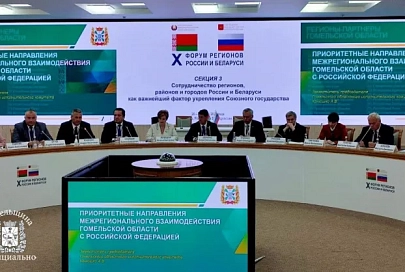 Россия находится на первом месте по инвестициям в экономику Гомельской области