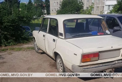 В Мозырском районе два местных жителя угнали автомобиль. Их задержали