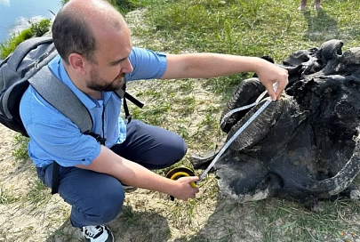 В Ветковском районе спасатели нашли в акватории реки останки мамонта