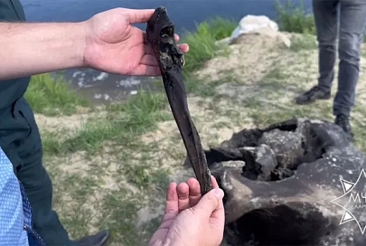 Пролежали более 20 тыс. лет. Научная версия о найденных в Ветковском районе останках мамонта