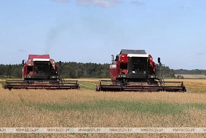В Беларуси намолочено более 5,8 млн тонн зерна с учетом рапса