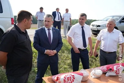 Губернатор ознакомился с севом озимого рапса и заготовкой сенажа в хозяйствах Житковичского района