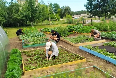 Свое вкуснее: за каникулы школьники из Боровиков обеспечили себя овощами на будущий учебный год