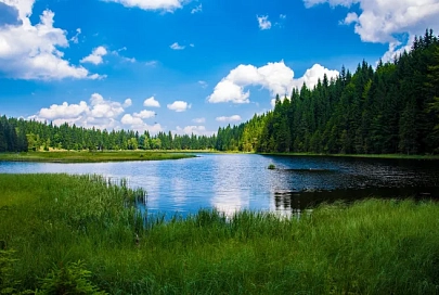 Усадьбы Беларуси. Снять агроусадьбу на сутки