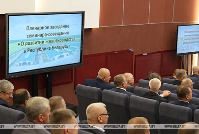 Глава государства рассказал, где сконцентрированы резервы белорусского села