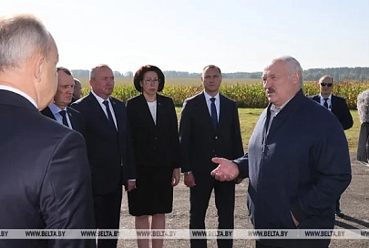 Лукашенко поручил КГК провести ревизию использования сельхозугодий