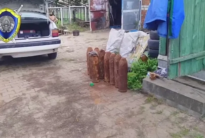 В Жлобине в результате взрыва снаряда времен ВОВ погиб мужчина. Его отец в реанимации