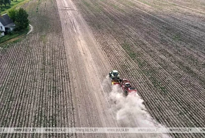 В Беларуси накопано более 680 тыс. тонн картофеля