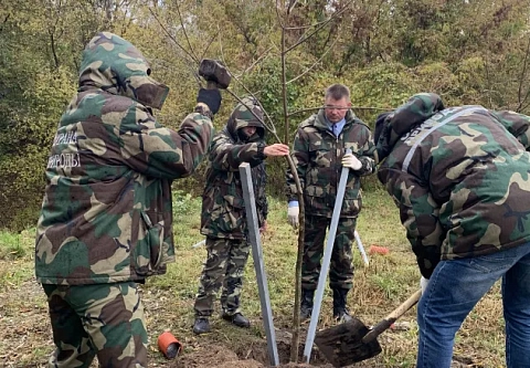 Благоустроим город вместе: на Гомельщине продолжается озеленение населенных пунктов