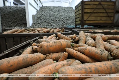 Уровень самообеспечения по основным видам сельхозпродукции в Беларуси ежегодно превышает 100%