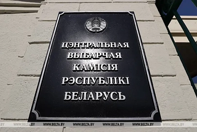 ЦИК: окружные и территориальные комиссии должны быть образованы не позднее 11 декабря