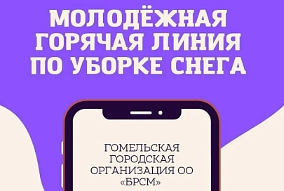 В Гомеле работают горячие линии БРСМ по уборке снега