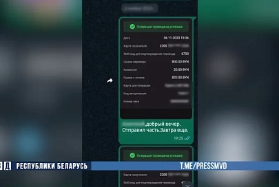 Житель Мозыря хотел заработать в интернете, но лишился более 177 тысяч рублей