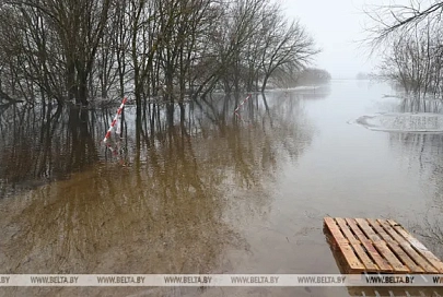 Талые и паводковые воды подтапливают Гомельскую область