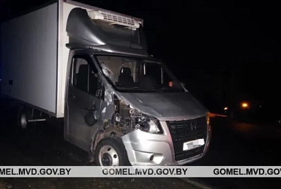 В Житковичском районе пьяный велосипедист погиб под колесами грузовика