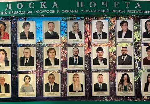 Определены лучшие работники системы Минприроды. На Доску почета ведомства попали и работники Гомельской области