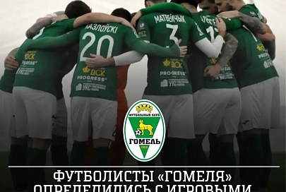 Названы номера, под которыми футболисты "Гомеля" будут играть в новом сезоне