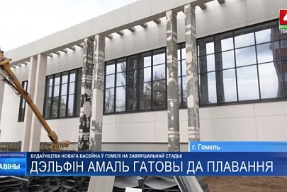 В Гомеле заканчивается строительство бассейна «Дельфин»