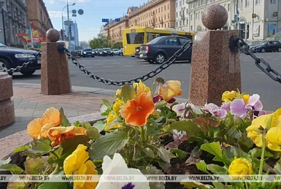 С начала года в Беларусь въехали почти 43 тыс. граждан Украины