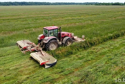 К косовице приступили практически ﻿все районы Гомельской области