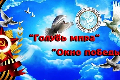 Голубь мира на окне: в Гомельской области подвели итоги региональной акции