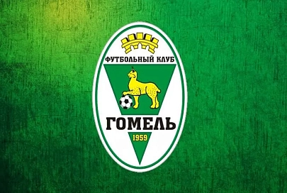 Главный тренер ФК "Гомель" прокомментировал ничью с "Витебском"