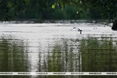 На Днепре у Жлобина уровень воды приближается к отметке, лимитирующей судоходство