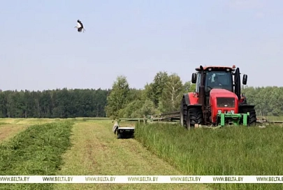 В Беларуси травы первого укоса скошены на более чем 1 млн га