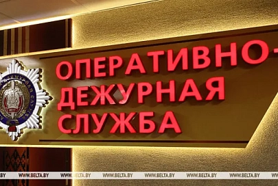 В Жлобине из арбалета подстрелили кота. Живодера разыскивает милиция