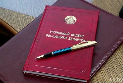 Житель Петрикова осужден на 5 лет лишения свободы за сутенерство