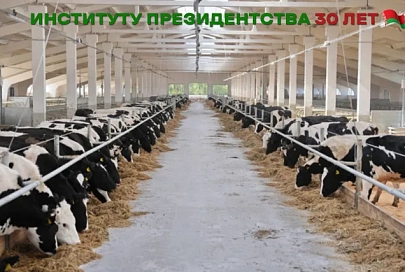 Сельское хозяйство – ключевая отрасль, исконно близкая и понятная белорусам