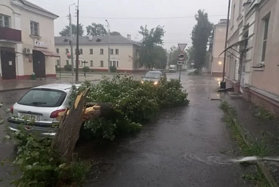 Последствия непогоды устраняют в Гомельской области