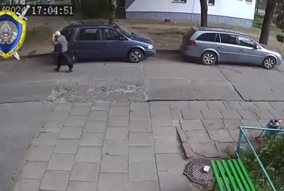 Еще одна жертва непогоды: в Светлогорске на пенсионера упало дерево