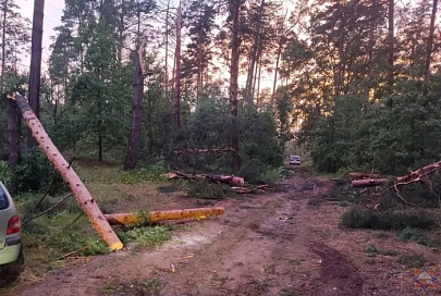 Более 100 военнослужащих окажут помощь населению в ликвидации последствий непогоды в Гомельской области