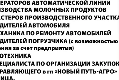 В связи с расширением производства и запуском новой линии по производству мягких сыров и йогуртов СООО «БЕЛСЫР» г. Калинковичи приглашает работу