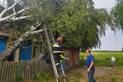 В беде не оставили. Продолжается расчистка населённых пунктов Жлобинщины от поваленных деревьев