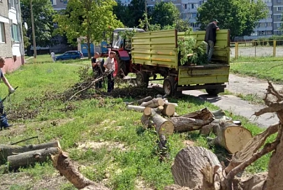 Горячая пора у коммунальных служб Жлобина: борьба с последствиями стихии продолжается