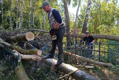 Ликвидировать последствия урагана жлобинчанам помогают поисковики из России