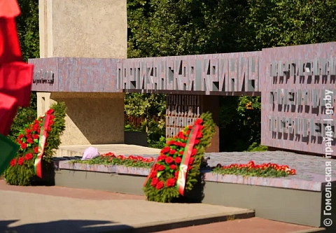 Пока живы, будем помнить. 17 августа исполнилось 83 года со дня образования партизанского отряда «Большевик», сформированного на территории Гомельщины