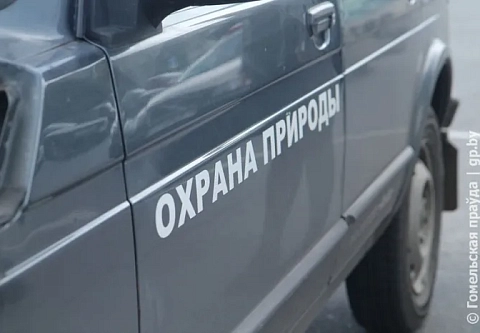 Эконовости: в этом году День без автомобиля на Гомельщине пройдет с размахом