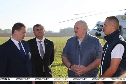 "Перестать кланяться импортному яблоку". Лукашенко о задаче страны в плодоводстве