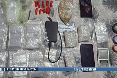 В Гомеле задержан оптовый закладчик