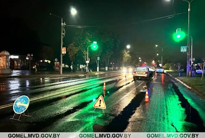 В Речице водитель насмерть сбил пешехода