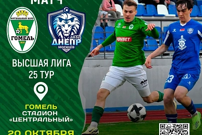 С кем сыграют "Гомель" и мозырская "Славия" в 25-м туре чемпионата Беларуси по футболу 2024